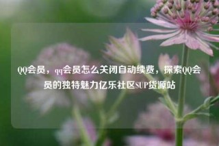 QQ会员，qq会员怎么关闭自动续费，探索QQ会员的独特魅力亿乐社区SUP货源站