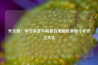 外交部：中方决定不同意台湾地区参加今年世卫大会