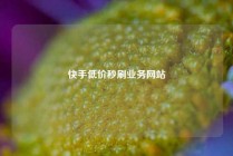 快手低价秒刷业务网站