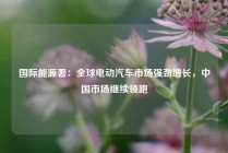 国际能源署：全球电动汽车市场强劲增长，中国市场继续领跑