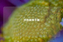 抖音视频卡盟