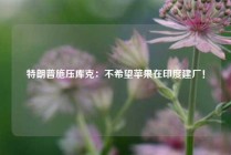 特朗普施压库克：不希望苹果在印度建厂！