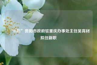 “85后”贵阳市政府驻重庆办事处主任吴育材拟任新职