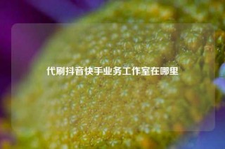 代刷抖音快手业务工作室在哪里
