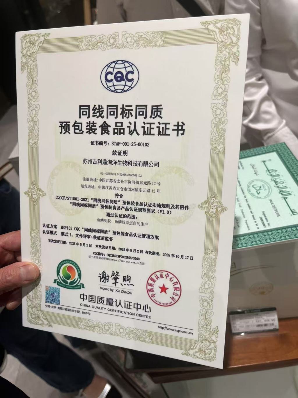 韧性十足的中国外贸企业：“不倒翁”被摁下去，还会再弹起来  第6张