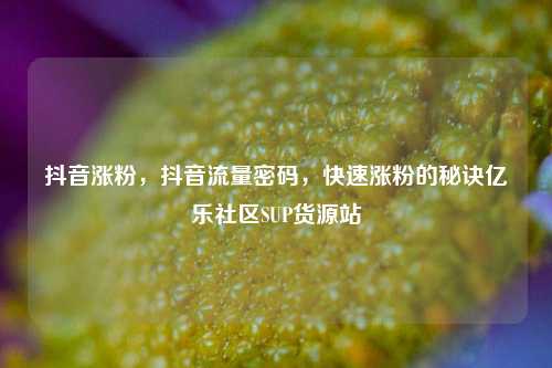 抖音涨粉，抖音流量密码，快速涨粉的秘诀亿乐社区SUP货源站  第1张