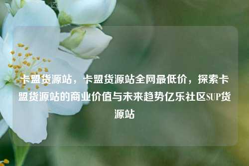 卡盟货源站，卡盟货源站全网最低价	，探索卡盟货源站的商业价值与未来趋势亿乐社区SUP货源站  第1张