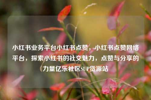 小红书业务平台小红书点赞，小红书点赞网络平台	，探索小红书的社交魅力，点赞与分享的力量亿乐社区SUP货源站  第1张