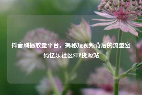 抖音刷播放量平台，揭秘短视频背后的流量密码亿乐社区SUP货源站  第1张