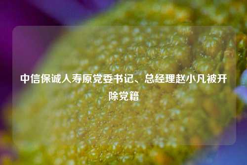 中信保诚人寿原党委书记、总经理赵小凡被开除党籍  第1张