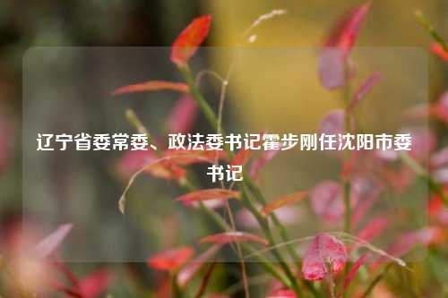 辽宁省委常委	、政法委书记霍步刚任沈阳市委书记  第1张