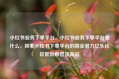 小红书业务下单平台	，小红书业务下单平台是什么，探索小红书下单平台的商业潜力亿乐社区低价自营货源站  第1张