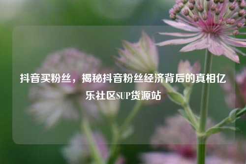 抖音买粉丝，揭秘抖音粉丝经济背后的真相亿乐社区SUP货源站  第1张