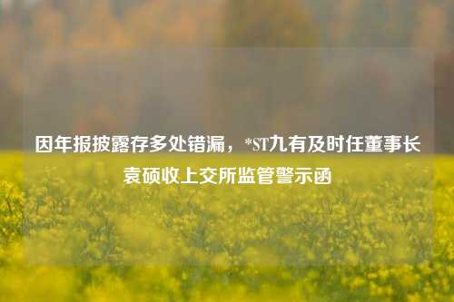因年报披露存多处错漏，*ST九有及时任董事长袁硕收上交所监管警示函  第1张