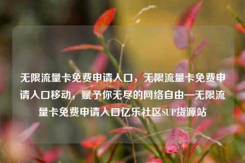 无限流量卡免费申请入口	，无限流量卡免费申请入口移动，赋予你无尽的网络自由—无限流量卡免费申请入口亿乐社区SUP货源站  第1张