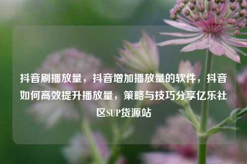 抖音刷播放量，抖音增加播放量的软件	，抖音如何高效提升播放量，策略与技巧分享亿乐社区SUP货源站  第1张