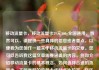 移动流量卡，移动流量卡29元300g全国通用，当然可以，请提供一些具体的信息或者要点，以便我为您创作一篇关于移动流量卡的文章。您可以告诉我这篇文章需要涵盖的内容，例如介绍移动流量卡的基本概念、如何选择合适的流量卡、不同类型的流量卡优缺点比较等。亿乐社区SUP货源站