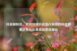 抖音刷粉丝，如何利用抖音进行有效的粉丝积累亿乐社区低价自营货源站