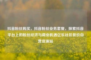抖音粉丝购买，抖音粉丝业务套餐，探索抖音平台上的粉丝经济与商业机遇亿乐社区低价自营货源站