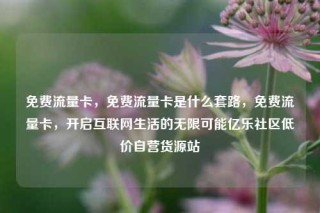 免费流量卡，免费流量卡是什么套路，免费流量卡，开启互联网生活的无限可能亿乐社区低价自营货源站