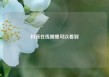 抖音在线哪里可以看到