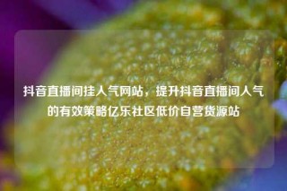 抖音直播间挂人气网站，提升抖音直播间人气的有效策略亿乐社区低价自营货源站