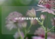 b站5万播放量有多少收入
