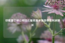 印度雷丁顿公司因云服务需求强劲季度利润增长