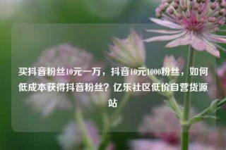 买抖音粉丝10元一万，抖音10元1000粉丝，如何低成本获得抖音粉丝？亿乐社区低价自营货源站