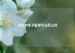 小红书电子面单平台怎么样