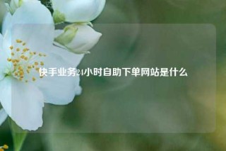 快手业务24小时自助下单网站是什么