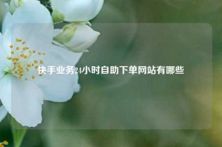 快手业务24小时自助下单网站有哪些
