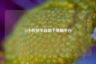 24小时快手自助下单刷平台