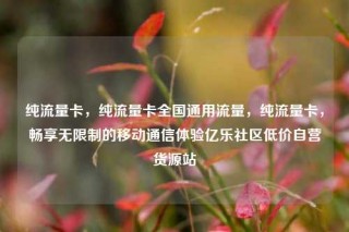 纯流量卡，纯流量卡全国通用流量，纯流量卡，畅享无限制的移动通信体验亿乐社区低价自营货源站
