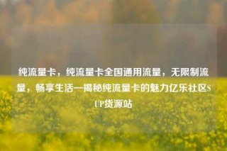 纯流量卡，纯流量卡全国通用流量，无限制流量，畅享生活—揭秘纯流量卡的魅力亿乐社区SUP货源站