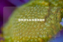 酷狗音乐在线播放器听