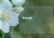 龙舟注册