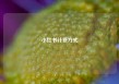 小红书计费方式
