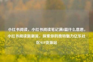 小红书阅读，小红书阅读笔记满8篇什么意思，小红书阅读新潮流，探索你的独特魅力亿乐社区SUP货源站