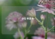 小红书读书
