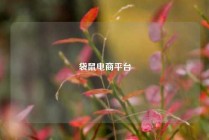袋鼠电商平台