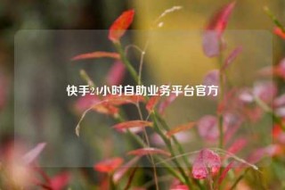快手24小时自助业务平台官方