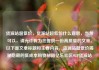 货源站超低价，货源站超低价什么意思，当然可以，请允许我为您提供一份高质量的文章。以下是文章标题和主要内容，货源站超低价揭秘隐藏的低成本购物秘籍亿乐社区SUP货源站