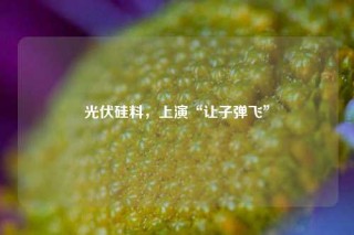 光伏硅料，上演“让子弹飞”