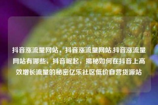 抖音涨流量网站，抖音涨流量网站,抖音涨流量网站有哪些，抖音崛起，揭秘如何在抖音上高效增长流量的秘密亿乐社区低价自营货源站