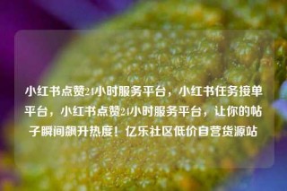 小红书点赞24小时服务平台，小红书任务接单平台，小红书点赞24小时服务平台，让你的帖子瞬间飙升热度！亿乐社区低价自营货源站