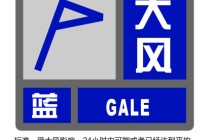 上海发布大风蓝色预警信号，此前的雷电黄警、暴雨蓝警已解除
