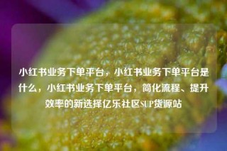 小红书业务下单平台，小红书业务下单平台是什么，小红书业务下单平台，简化流程、提升效率的新选择亿乐社区SUP货源站
