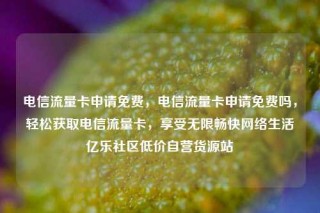 电信流量卡申请免费，电信流量卡申请免费吗，轻松获取电信流量卡，享受无限畅快网络生活亿乐社区低价自营货源站