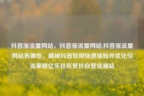 抖音涨流量网站，抖音涨流量网站,抖音涨流量网站有哪些，揭秘抖音如何快速涨粉并优化引流策略亿乐社区低价自营货源站